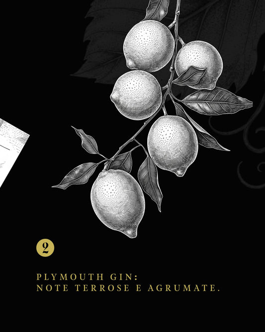 Plymouth Gin: cos'è, che sapore ha e perché ha perso la sua tutela