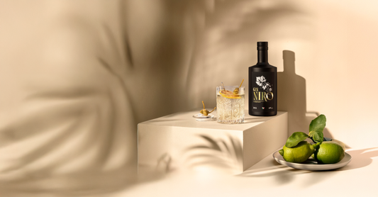 Cocktail Nironi bianco con olive verdi e lime accanto alla bottiglia GIN NIRO